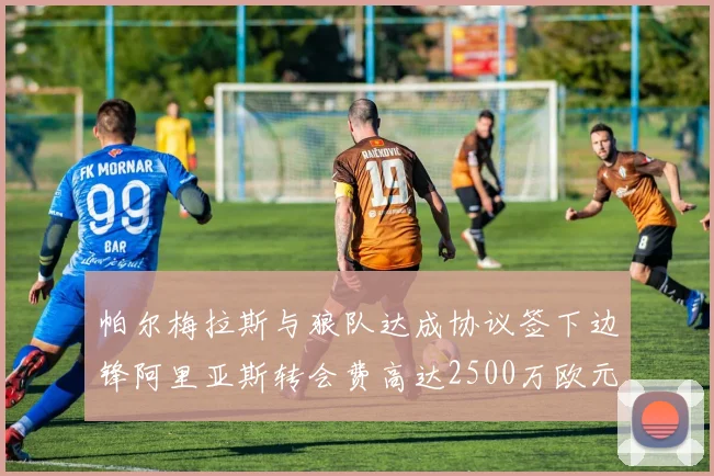 帕尔梅拉斯与狼队达成协议签下边锋阿里亚斯转会费高达2500万欧元